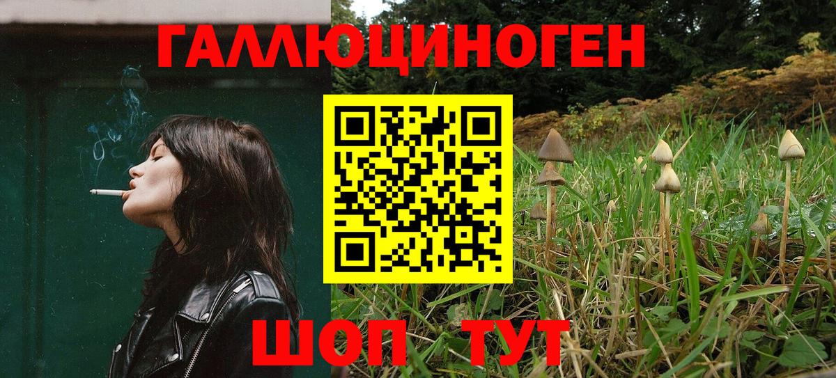 Галлюциногенные грибы GOLDEN TEACHER  где найти наркотики  Рубцовск  Вход с VPN 