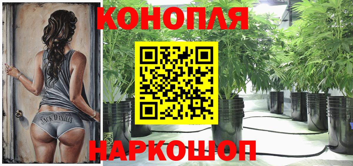 Бошки марихуана семена  МАРИХУАНА MAZAR  Конопля AK-47  Рубцовск  Вход с VPN 